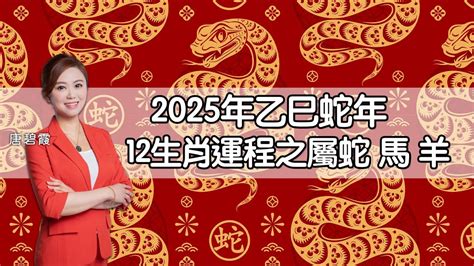 蛇年運程|蘇民峰2025蛇年12生肖運程完整分析：犯太歲4生肖+開運竅門